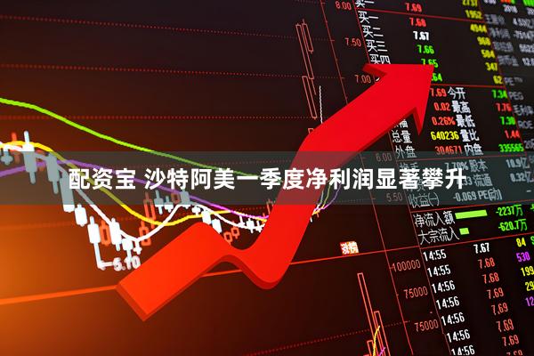 配资宝 沙特阿美一季度净利润显著攀升