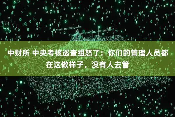 中财所 中央考核巡查组怒了：你们的管理人员都在这做样子，没有人去管
